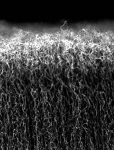 Nanofasern ebnen Weg zu Super-Akku (Foto: MIT)