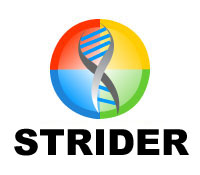 Strider Search Defender auf Spamjagd (Foto: microsoft.com)