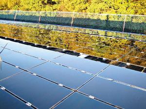 Deutsche Solarunternehmen profitieren von starkem Marktwachstum (Foto: rpse.de)