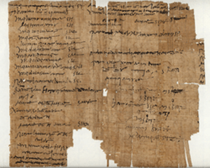 SEEBURGER Papyruspatenschaft