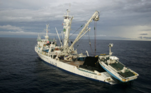 Thunfischfang: Schnellboote gefährden Delfinbabys (Foto: Greenpeace, Alex Hofford)