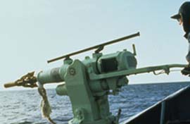 Walfangsaison in Norwegen gestartet (Foto: walfang.org)