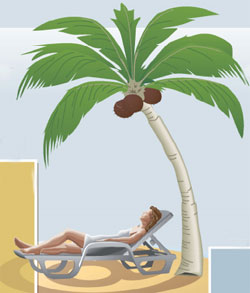 Reisen werden immer öfter online gebucht (Grafik: BITKOM)