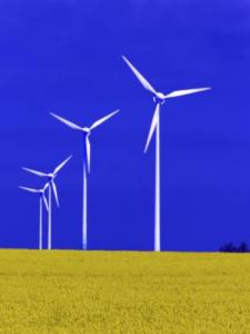 Investments bei Erneuerbaren Energien lukrativ (Foto: pixelio.de)