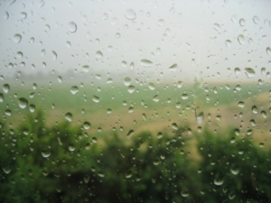 Saurer Regen vermindert CO2-Belastung (Foto: pixelio.de)