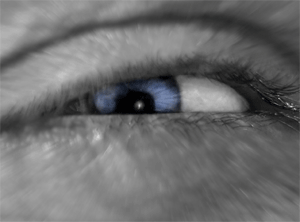 Eye-Tracking-Systeme erfassen Pupillen (Foto: pixelio.de)
