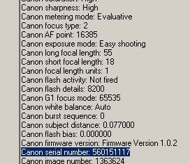 EXIF-Metadaten verraten Seriennummer des Harry-Potter-Diebes (Foto: pte)