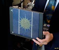 Solarzellen bald auf Laptops (Foto: udel.edu)