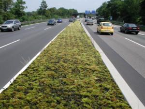 Moos als Luftsaubermacher auf Autobahnen (Fotomontage: J. P. Frahm)