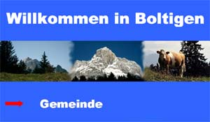 Wimax-Kontroverse im Berner Oberland (Foto: boltigen.ch)