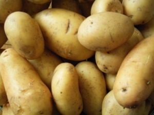 Kartoffel als Mitgrund für den Evolutionserfolg des Menschen ? (Foto: Pixelio)