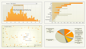 Aktuelle IT-Statistiken von JoinVision.com - 2007