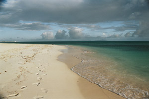 Offensichtlich noch zu toppen: Der Strand der Virgin Insel Anegada  (Foto: W. Weitlaner)