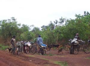 Männer nahe eines tansanischen Flüchtlingscamps (Foto: Simon Milledge/Traffic )