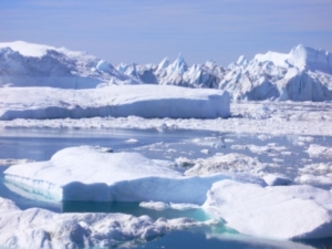 Die globale Erwärmung lässt den Lebensraum vieler Meeressäuger schmelzen (Foto: pixelio.de - MkJune)