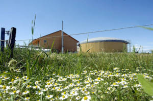 Auslandsgeschäft boomt (Foto: envitec-biogas.de)