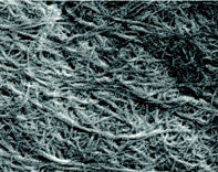 Extrem feine Zellulosefasern ermöglichen reißfestes Papier (Foto: pubs.acs.org)