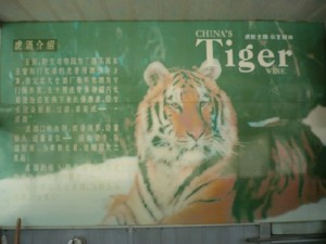 Werbeplakat für Tigerwein in einem chinesischem Tierpark (Foto: eia-international.org)