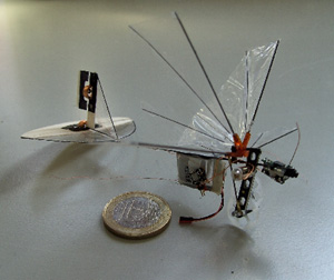 Die DelFly Micro, ein Schritt auf dem Weg zum autonomen Fruchtfliegen-Fluggerät (Foto: TU Delft)
