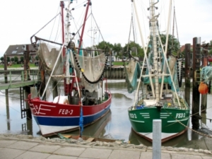 Kleinere Fischkutter richten deutlich weniger Schäden an (Foto: A Bermüller/pixelio)