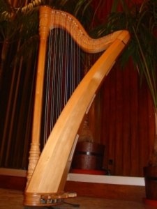 Das ASTRA-Modell lässt den Vorläufer der Harfe erklingen (Foto: pixelio.de, riri)