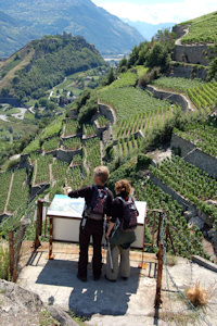 Weinanbau lädt zum Wandern ein (Foto: fotodienst.ch/Gerd Müller)