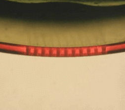 Flexible optische Sensorfolien sollen Bauwerke überwachen (Foto: imec.be)