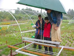 Starker Regen und Dürre verändern die Blütezeit, ermittelten Forscher (Foto: Uni Bayreuth)