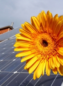 Goldene Zeiten für Solarbranche vorbei (Foto: pixelio.de, Klaus-Uwe Gerhardt)