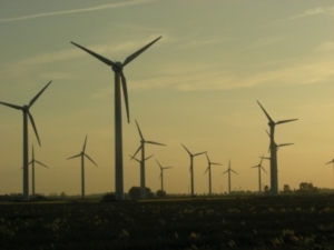 Staatsfonds setzen auf grüne Investments (Foto: pixelio.de, Hartmut910)