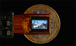 OLED-Mikrodisplay: TV-Auflösung unter Münzgröße (Foto: CEA)