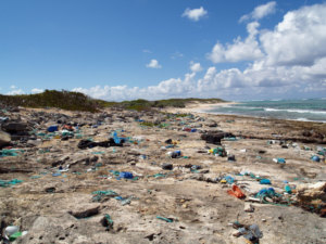 Vielfach dient das Meer immer noch als Mülleimer (Foto: Wolfgang Weitlaner)
