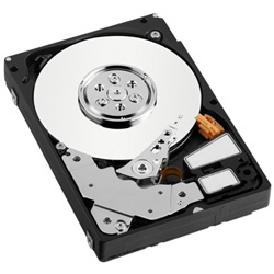 Hochleistungs-Festplatte im 2,5-Zoll-Format für Unternehmen (Foto: Western Digital)