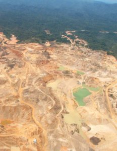 Goldminen (Bild) oder Ölbohrungen zerstören den Regenwald (Smithsonian Tropical Research Institute)