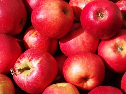 34 Apfelsorten sind bereits ausgestorben (Foto: pixelio.de, Peter Kirchhoff)