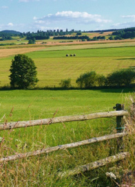 In ländlichen Regionen existieren immer noch Breitbandlücken (Foto: pixelio.de, Cornerstone)