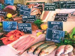 Hoher Fischverzehr schützt Nordländer vor den Folgen fehlender Sonnenstrahlen (Foto: IOF)