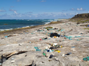 Plastikabfall auf einem einsamen Karibikstrand (Foto: Wolfgang Weitlaner)