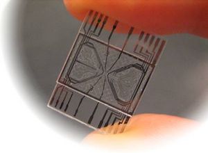 Ein Chip für das Bluttest-Chip-Labor (Foto: University of Southampton)