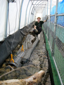 Zoologe Sundström im künstlichen Flusslauf (Foto: Universität Göteborg)