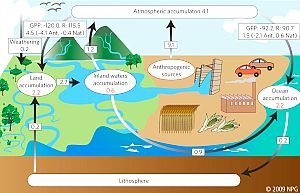 Der „grenzenlose Kohlenstoffzyklus“ berücksichtigt auch Binnengewässer (Bild: Nature Geoscience)
