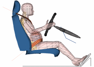 Computermodell: schwanger für die Verkehrssicherheit (Foto: B Serpil Acar)