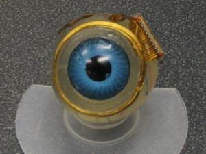 Der Prototyp des Sehsystems an einem Modell des menschlichen Auges (Foto: MIT)