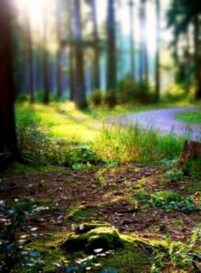 Naturliebhaber werden in der Natur zu besseren Menschen (Foto: pixelio.de/Sturm)