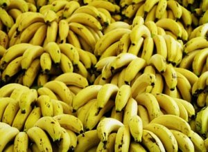 Die Staaten Mittelamerikas sind immer noch Bananenrepubliken (Foto: pixelio.de/Schmidt)