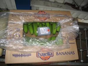 Sensor im Bananenkarton für die intelligente Containerüberwachung (Foto: Universität Bremen) Sensor im Bananenkarton für die intelligente Containerüberwachung (Foto: Universität Bremen)