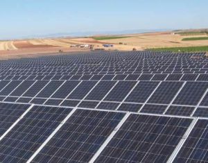 Phoenix Solar zieht es an den Golf (Foto: phoenixsolar.de)