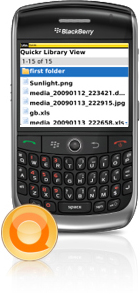 Lotus-Collaboration auf BlackBerry macht Sicherheit wichtig (Foto: rim.com)