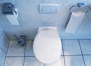 Bei der Toilettreinigung verzichtet man besser auf aggressive Putzmittel (Foto: pixelio.de/Sturm)