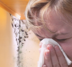 Schimmel im Wohnraum kann Allergien auslösen
